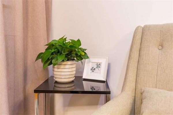 乾港集團,乾港官網,乾港網絡,室內空氣凈化公司